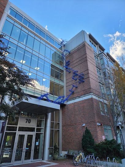 view from the street